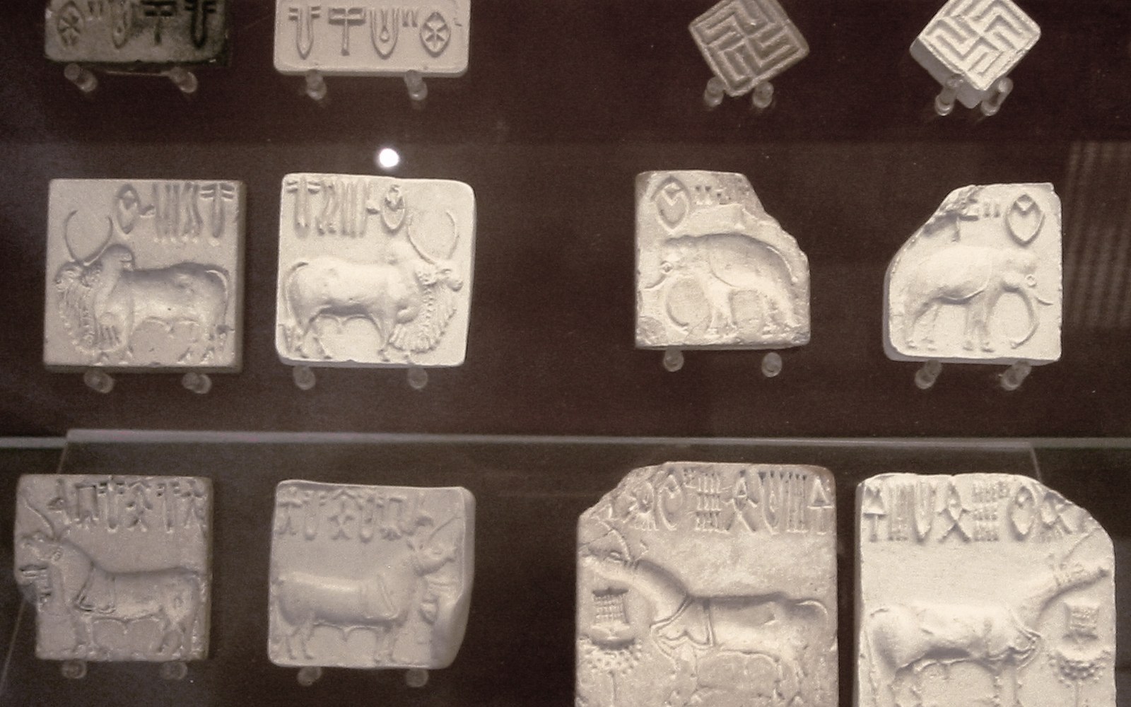 Ancient stone seals carved with bulls, elephants, and undeciphered script symbols on display